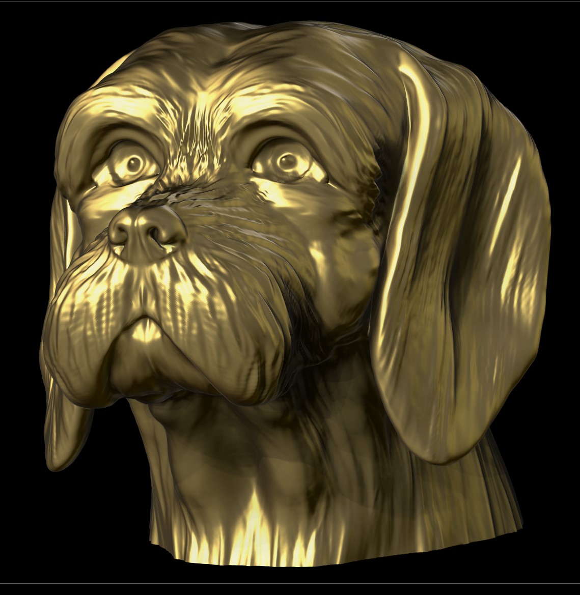 Basset-fauve-de-Bretagne