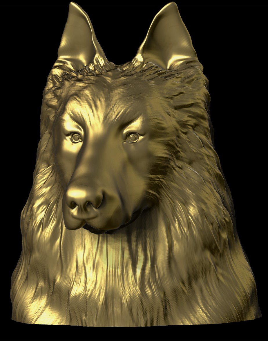 Berger-belge-Tervueren