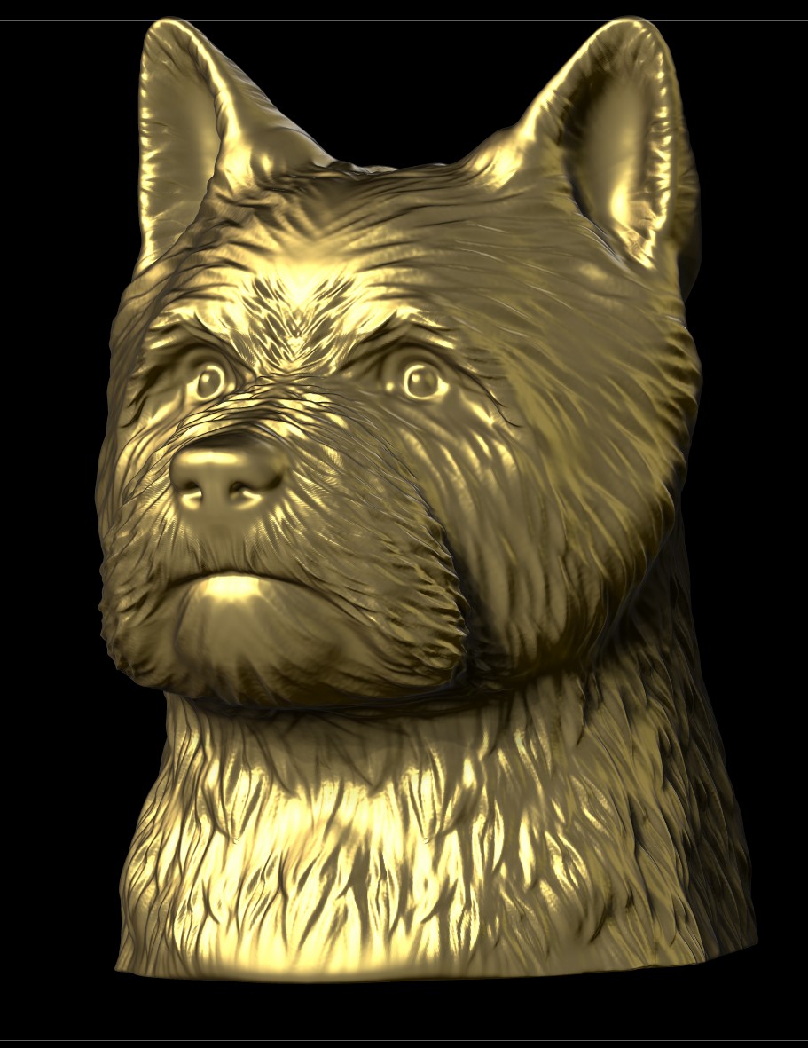 Cairn terrier 