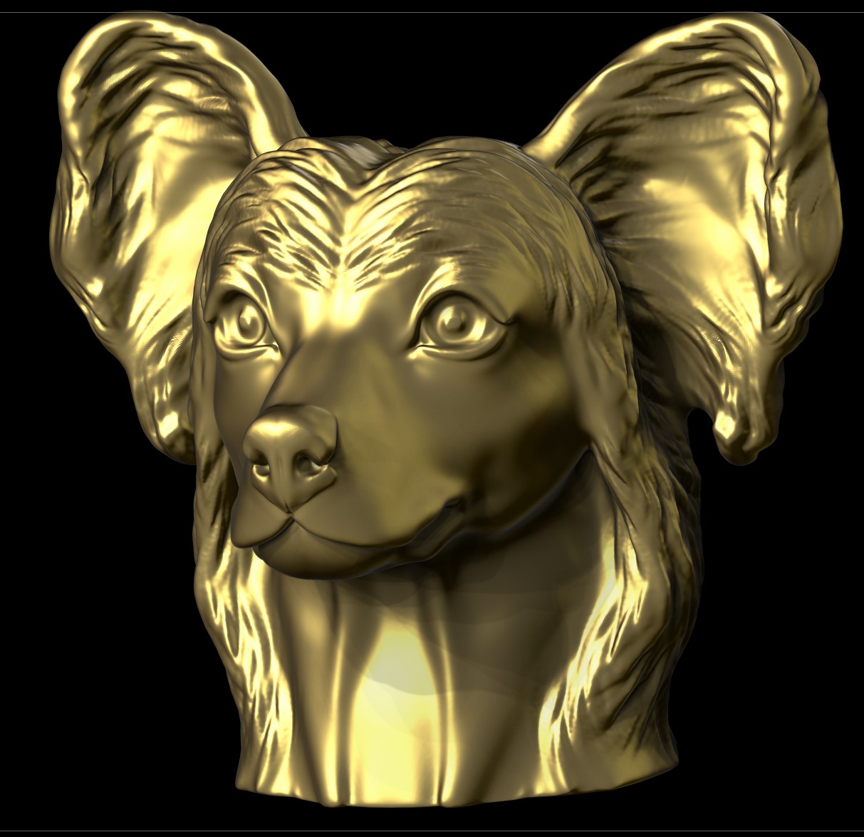 Chien chinois à crête