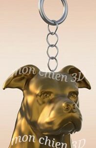 American Staffordshire Terrier