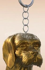 Basset fauve de Bretagne