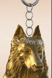 Berger belge Tervueren