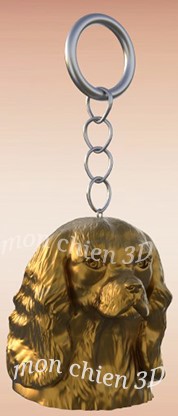 cavalier-king-charles