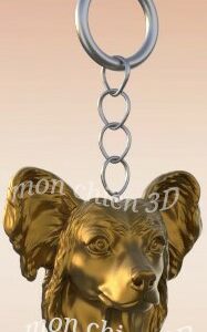 Chien chinois à crête