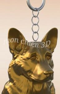 (Corgi) Welsh Corgi Pembroke