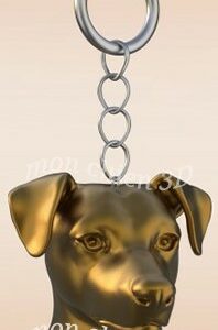 Jack Russell terrier