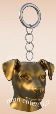 Jack Russell terrier