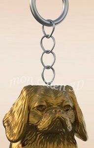 (Japanese Chin) Épagneul japonais