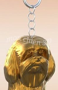 Lhassa Apso