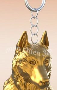 (louptchéc) Chien-loup tchécoslovaque