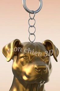 (Pitbull) American Pit Bull Terrier