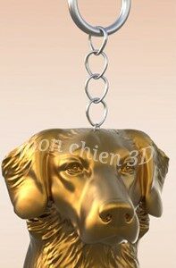 Retriever de la Nouvelle-Écosse