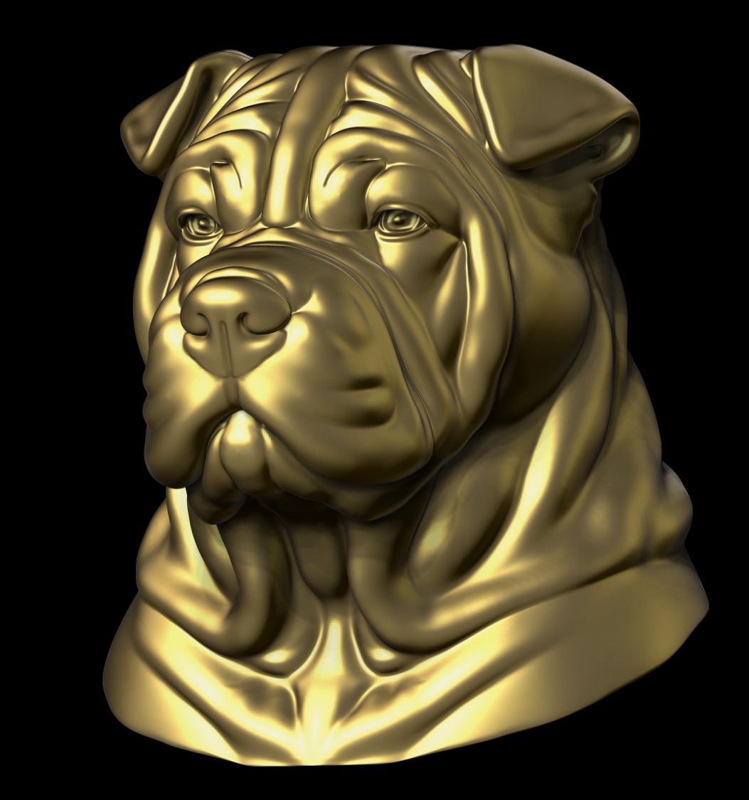 shar-Pei 