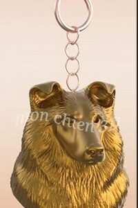 (Shetland) Berger des Shetland