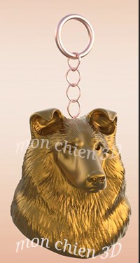 (Shetland) Berger des Shetland