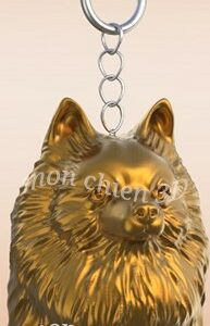 (Spizt nain) Loulou de Poméranie